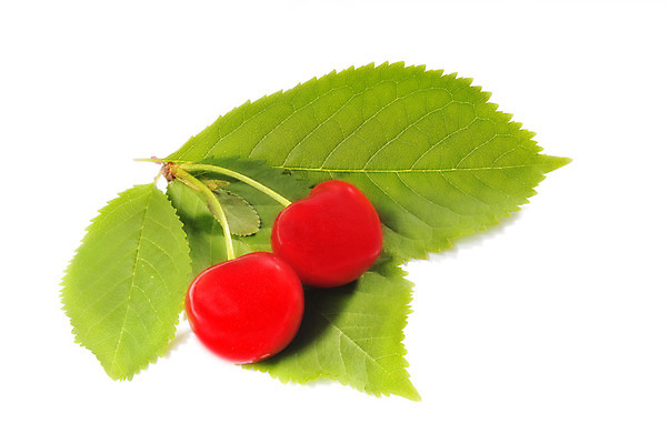 포토 JPG 해외이미지 음식 잎 사람없음 빨간색 여름 정원 신선 체리 시장 달콤 고립 해외202004 해외포토 식물 계절 컬러 과일 맛 파일형식 이미지허브