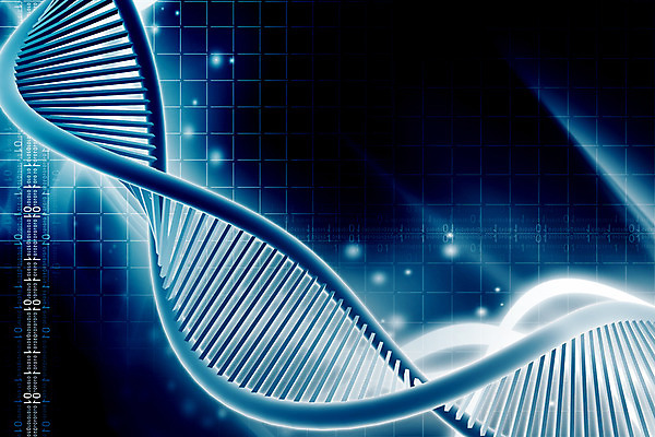 포토 JPG 해외이미지 줄기 과학 일러스트 세포 나선형 건강 사람없음 약 3D 액체 바이러스 약초 DNA 생명공학 약국 생물학 만들기 염색체 조제 바이오 복제 유전 해외202004 해외일러스트 식물 교육 무늬 의학 모션 풀_식물 디지털합성 파일형식 이미지허브