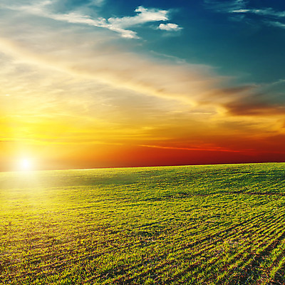 포토 JPG 해외이미지 구름 계절 백그라운드 밭 농업 오렌지 자연 하늘 날씨 그림자 풍경 사람없음 야외 초록색 파란색 빛 컬러풀 햇빛 태양 농경지 노란색 일출 맑음 황혼 일몰 봄 새벽 성장 시골 저녁 땅 언덕 장면 빛망울 내추럴 수평선 해외202004 해외포토 자연요소 산업 컬러 과일 농장 노을 야간 생태계 파일형식 이미지허브