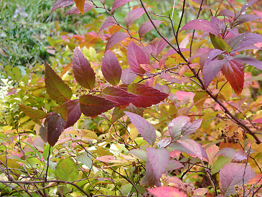 포토 JPG 해외이미지 사람없음 해외202004 해외포토 파일형식 이미지허브