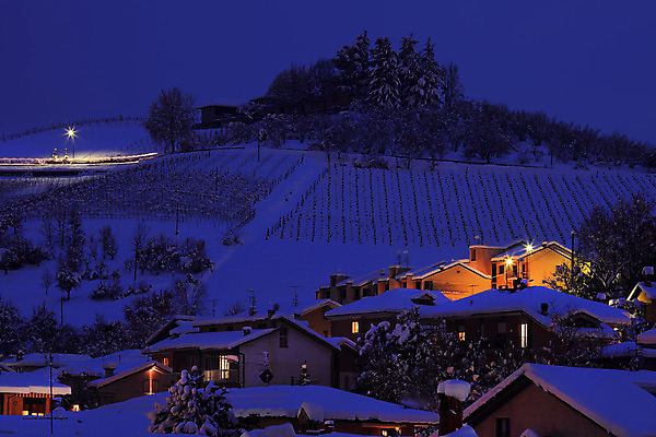 포토 JPG 해외이미지 계절 유럽 여행 겨울 자연 휴가 조명 주택 풍경 사람없음 야외 파란색 빛 마을 냉동 이탈리아 추위 시골 야간 저녁 언덕 포도밭 장면 타운 빛망울 산기슭 내추럴 피에몬테 눈내림 해외202004 해외포토 자연요소 나라 컬러 밭 산 눈_날씨 건물 도시 생태계 파일형식 이미지허브