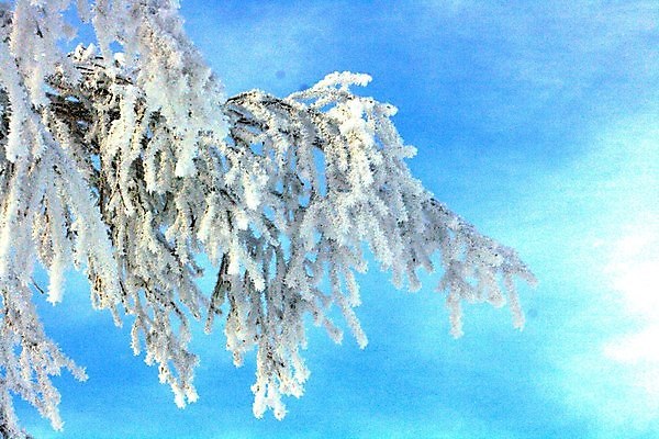 포토 JPG 해외이미지 나무 겨울 하늘 노르웨이 풍경 사람없음 냉동 얼음 추위 저녁 현상 해외202004 해외포토 자연요소 식물 계절 유럽 야간 파일형식 이미지허브