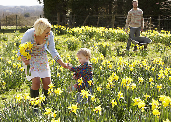 포토 JPG 해외이미지 전신 백인 커플 계절 아들 어린이 밭 가족 부활절 함께함 소년 20대 야외 세로 세명 걷기 정원 수레 봄 산책 수선화 해외202004 해외포토 서양인 기념일 남자 꽃 컨셉 농업 관계 모션 휴식 사람 청년 카트 파일형식 이미지허브