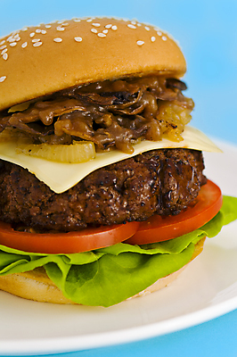 포토 JPG 해외이미지 접시 패스트푸드 실내 사람없음 한개 햄버거 인스턴트 정크푸드 파란배경 해외202004 해외포토 1 식기 음식 백그라운드 내부 파란색 파일형식 이미지허브