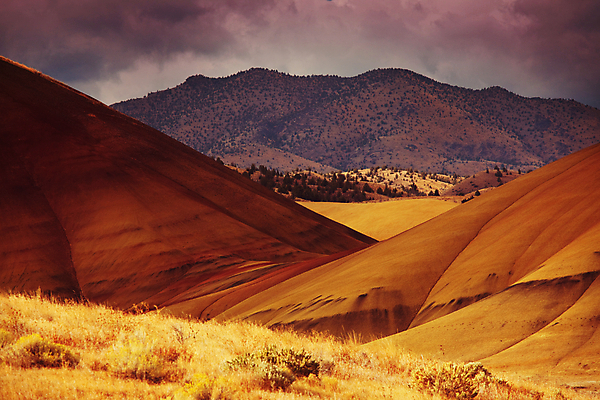 포토 JPG 해외이미지 길 모래 여행 자연 풍경 사람없음 야외 사막 그리기 사암 해외202004 해외포토 모션 돌_바위 생태계 파일형식 이미지허브