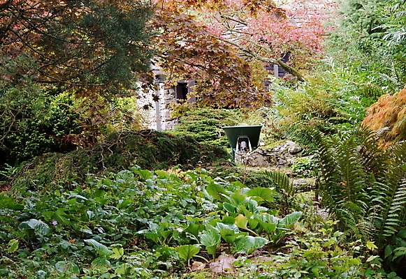 포토 JPG 해외이미지 나무 식물 공원 백그라운드 잎 자연 풍경 사람없음 초록색 여름 환경 정원 수레 봄 원예 양치류 해외202004 해외포토 계절 공공시설 컬러 취미 카트 생태계 파일형식 이미지허브