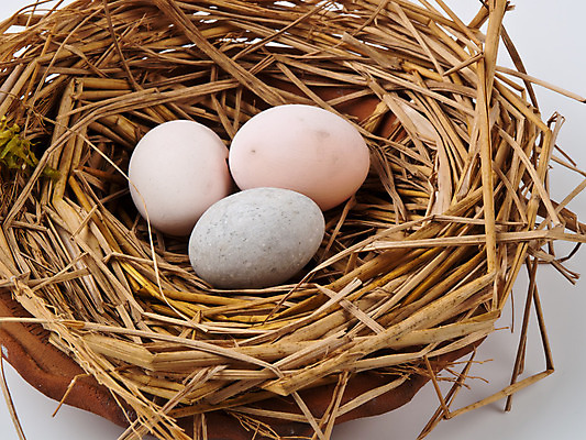 포토 JPG 해외이미지 음식 백그라운드 다이어트 재료 부활절 건강 요리 사람없음 가로 농장 갈색 노란색 세일 저녁식사 치킨 흰색 신선 시장 둥지 아침식사 컨테이너 유기농 밀짚 내추럴 점심식사 고립 단백질 삶기 생식 해외202004 해외포토 웰빙 기념일 산업 컬러 농업 식사 짚 닭고기요리 영양소 파일형식 이미지허브