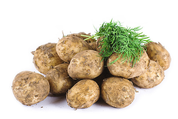 포토 JPG 해외이미지 음식 백그라운드 감자 사람없음 가로 흰색 날것 흙더미 딜 해외202004 해외포토 컬러 채소 흙 파일형식 더미 이미지허브