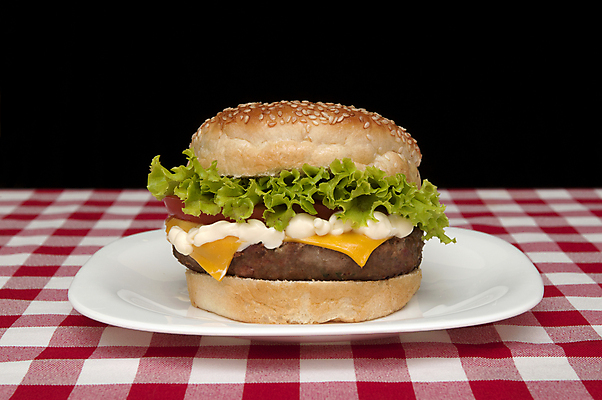 포토 JPG 해외이미지 접시 검은배경 패스트푸드 실내 사람없음 한개 햄버거 인스턴트 정크푸드 체크무늬 해외202004 해외포토 1 식기 음식 백그라운드 무늬 내부 검은색 파일형식 이미지허브