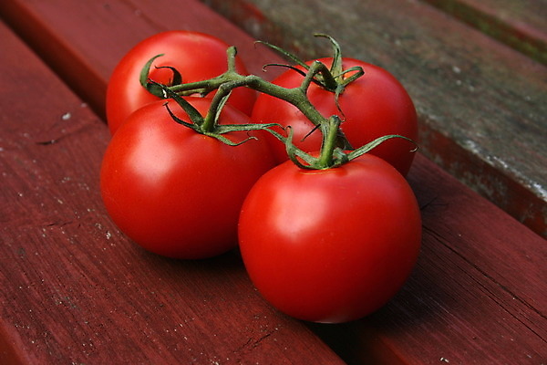 포토 JPG 해외이미지 음식 줄기 백그라운드 다이어트 토마토 채소 과일 재료 건강 씨앗 사람없음 빨간색 농장 맑음 샐러드 성장 신선 원형 체리 맛 다발 먹기 묘사 유기농 원예 포도나무 내추럴 숙성 해외202004 해외포토 도형 식물 웰빙 컬러 컨셉 농업 모션 날씨 취미 과일나무 파일형식 이미지허브