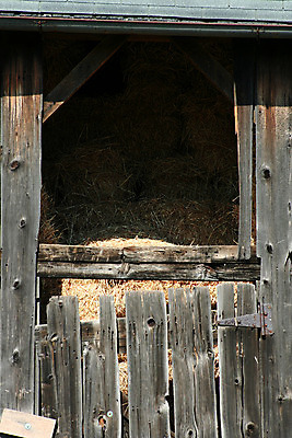 포토 JPG 해외이미지 농업 옥수수 사람없음 건물 목재 농장 농촌 시골 볏짚 외양간 옛날 해외202004 해외포토 나무 건축물 산업 재료 곡류 짚 파일형식 이미지허브