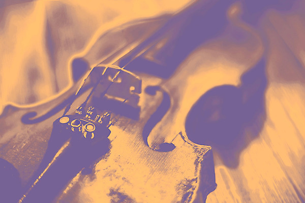 포토 JPG 해외이미지 줄 음악 백그라운드 미술 사람없음 목재 갈색 검은색 콘서트 공연 골동품 흰색 기구 도구 클래식 바이올린 오브젝트 활 첼로 오케스트라 교향곡 멜로디 뮤지컬 바로크 비올라 옛날 스타일 해외202004 해외포토 나무 컬러 컨셉 재료 현악기 문화예술 이벤트 악단 파일형식 찰현악기 이미지허브