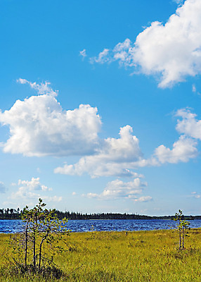 포토 JPG 해외이미지 나무 구름 지구 호수 파도 잎 자연 하늘 날씨 휴식 건조 그림자 풍경 사람없음 목재 세로 초록색 여름 파란색 강 태양 반사 갈색 침묵 회색 소나무 숲 허브 순수 즐거움 북쪽 생태학 해외202004 해외포토 자연요소 식물 계절 교육 감정 바다 컬러 컨셉 재료 소리 방향 생태계 파일형식 이미지허브