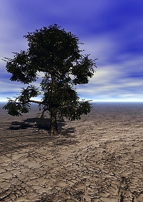 포토 JPG 해외이미지 나무 구름 계절 선 백그라운드 일러스트 자연 하늘 풍경 사람없음 초록색 파란색 컬러풀 태양 3D 일출 일몰 흰색 뜨거움 숲 생태학 수평선 해외202004 해외포토 자연요소 식물 교육 컬러 노을 디지털합성 생태계 파일형식 이미지허브