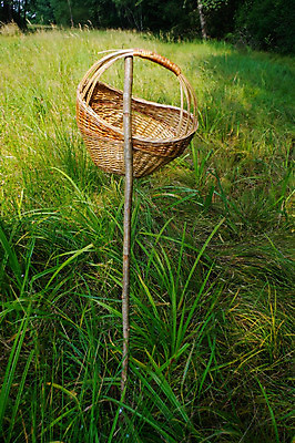 포토 JPG 해외이미지 나무 공원 빵 백그라운드 밭 과일 자연 탁자 휴가 휴식 건강 잔디 사람없음 야외 목재 초록색 여름 소풍 파티 바구니 우주 정원 맑음 저녁식사 고양이 봄 흰색 담요 주말 해외202004 해외포토 식물 계절 공공시설 음식 컬러 가구 컨셉 농업 재료 포유류 날씨 이벤트 반려동물 야외활동 식사 생태계 파일형식 이미지허브