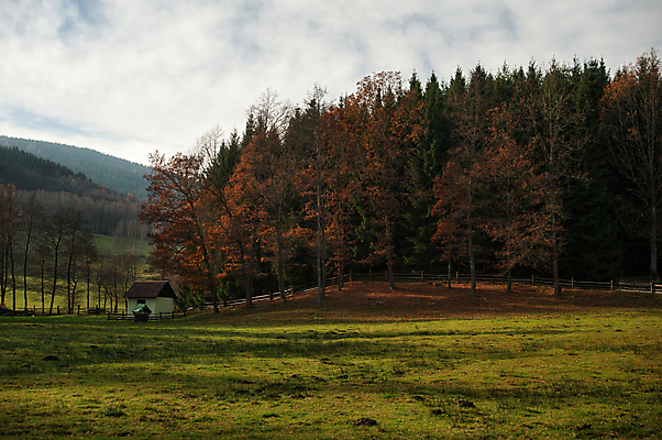 포토 JPG 해외이미지 나무 식물 구름 계절 여행 백그라운드 자연 하늘 날씨 산 파노라마 풍경 사람없음 야외 목재 컬러풀 노란색 환경 가을 시골 숲 체코 내추럴 공화국 해외202004 해외포토 자연요소 유럽 나라 컬러 재료 촬영기법 생태계 파일형식 이미지허브