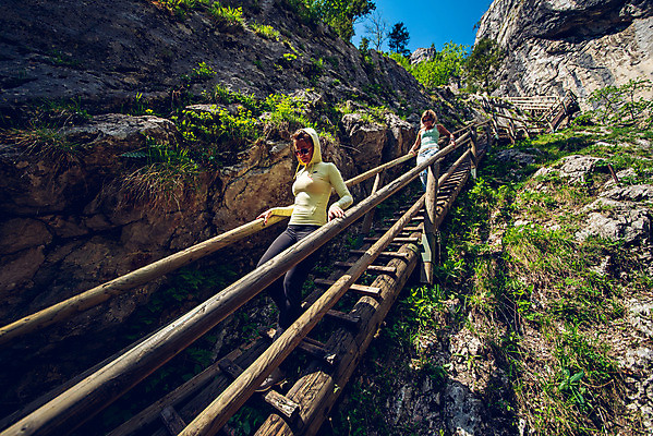 포토 JPG 해외이미지 나무 공원 여행 자연 휴가 산 사람 풍경 사람없음 야외 초록색 물 여름 강 평화 골짜기 봄 폭포 하이킹 흐름 바위 점 개울 황무지 오스트리아 숲 오르기 알프스 내추럴 해외202004 해외포토 자연요소 식물 계절 공공시설 유럽 컬러 컨셉 모션 레저 돌_바위 생태계 파일형식 이미지허브