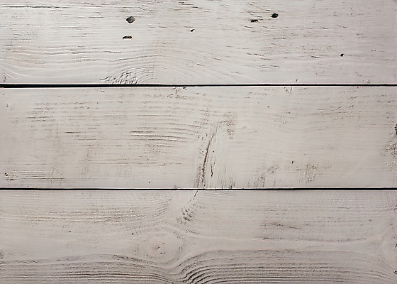 포토 JPG 해외이미지 나무 백그라운드 근접촬영 사람없음 목재 흰색 질감 카피스페이스 해외202004 해외포토 식물 뷰포인트 컬러 재료 공백 파일형식 이미지허브