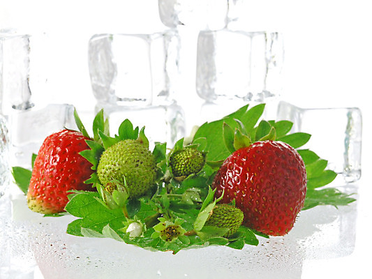 포토 JPG 해외이미지 음료 음식 잎 다이어트 과일 딸기 디저트 건강 사람없음 빨간색 초록색 여름 얼음 주스 추위 신선 그룹 달콤 시원함 큐브 상쾌 유기농 날것 내추럴 떨림 고립 저칼로리 해외202004 해외포토 자연요소 식물 웰빙 계절 감정 컬러 모션 맛 파일형식 이미지허브