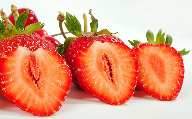 포토 JPG 해외이미지 식물 열매 음식 줄기 백그라운드 농업 채소 과일 재료 자연 딸기 디저트 건강 씨앗 사람없음 빨간색 흰색 달콤 아침식사 오브젝트 날것 숙성 해외202004 해외포토 산업 컬러 식사 맛 생태계 파일형식 이미지허브