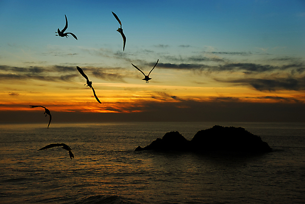 포토 JPG 해외이미지 주간 구름 해외풍경 바다 섬 갈매기 하늘 사람없음 야외 노을 미국 캘리포니아 수평선 해외202004 해외포토 자연요소 해외 북아메리카 조류 풍경 파일형식 이미지허브
