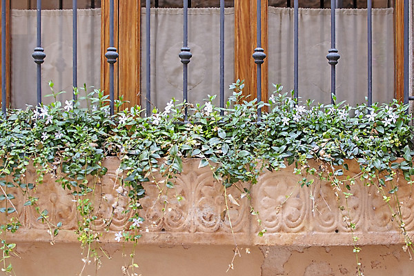 포토 JPG 해외이미지 식물 구름 전통 외관 꽃 유럽 벽 섬 여행 건축양식 창문 거리 주택 사람없음 건물 장식 문 마을 벚꽃 발코니 바위 시골 도시 개화 중세 스페인 재산 냄비 지중해 타운 스페인어 옛날 해외202004 해외포토 자연요소 건축물 건축 나라 바다 금융 돌_바위 역사 솥 파일형식 이미지허브
