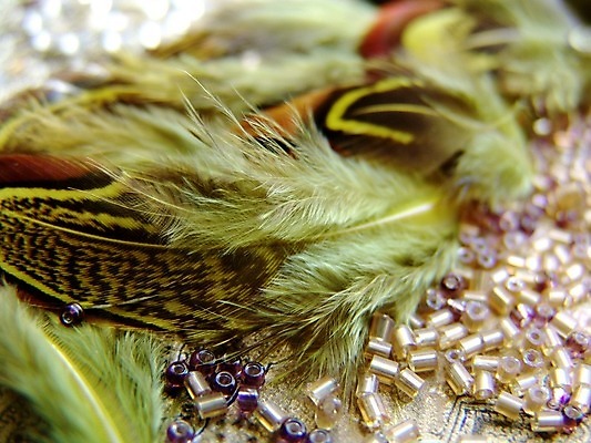 포토 JPG 해외이미지 동물 야생동물 장난 자연 조류 취미 사람없음 초록색 파란색 노란색 황금 스마트 깃털 묘사 호기심 부리 솜털 내추럴 강렬 동물상 이국적 지능 해외202004 해외포토 감정 컬러 컨셉 조형물 생태계 파일형식 이미지허브