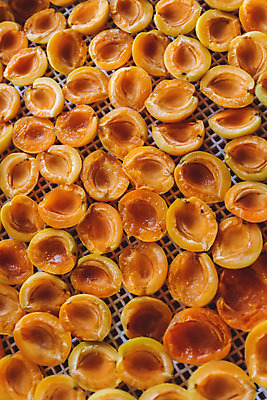 포토 JPG 해외이미지 스튜디오촬영 실내 사람없음 건과일 건조기 살구 해외202004 해외포토 과일 건조 내부 기계 파일형식 이미지허브