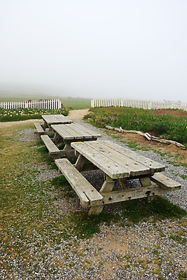 포토 JPG 해외이미지 식물 공원 꽃 벤치 의자 자연 탁자 하늘 아침 휴식 3 풍경 사람없음 야외 목재 초록색 울타리 소풍 평화 침묵 안개 시골 캘리포니아 태평양 지역 단절 뿌연 옛날 해외202004 해외포토 주간 나무 공공시설 바다 컬러 가구 컨셉 재료 날씨 담장 야외활동 미국 소리 생태계 파일형식 이미지허브
