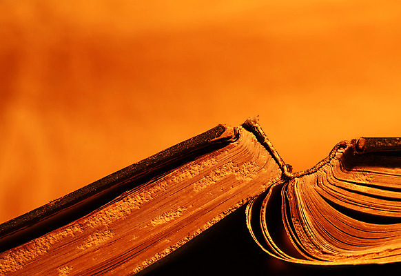 포토 JPG 해외이미지 교육 종이 텍스트 미술 사람없음 책 갈색 노란색 우주 다이어리 성경 어둠 공백 수확 골동품 덮개 흰색 얼룩 오픈 거친 역사 도서관 읽기 오브젝트 흔적 질감 문서 복고 문학 페이지 고립 그런지 빅토리아 옛날 원고 중고 해외202004 해외포토 컬러 농업 종교용품 모션 문화예술 사무용품 뚜껑 파일형식 이미지허브