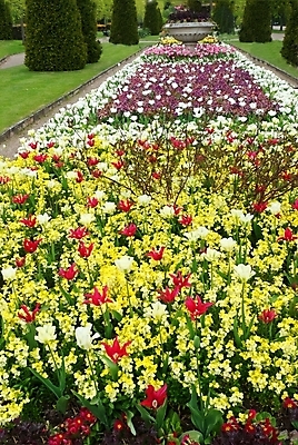 포토 JPG 해외이미지 식물 계절 공원 꽃잎 꽃 여행 잎 오렌지 자연 기술 잔디 사람없음 야외 장식 초록색 파란색 컬러풀 머리 정원 보라색 성장 벚꽃 흰색 침대 개화 원예 조경 화단 장면 라일락 내추럴 영원 정중 해외202004 해외포토 공공시설 컬러 가구 컨셉 과일 취미 신체부위 생태계 파일형식 이미지허브