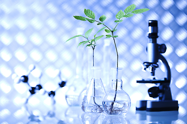 포토 JPG 해외이미지 식물 실내 현미경 실험 사람없음 아웃포커스 액체 화학 실험실 플라스크 화학실험 분자구조모형 해외202004 해외포토 과학 촬영기법 실험기구 내부 모형 분자구조 파일형식 이미지허브