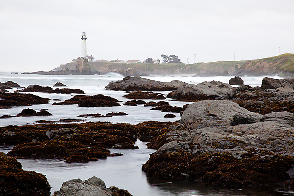 포토 JPG 해외이미지 주간 해외풍경 등대 해변 사람없음 야외 태양 미국 바위 캘리포니아 해외202004 해외포토 자연요소 해외 바다 북아메리카 풍경 돌_바위 파일형식 이미지허브