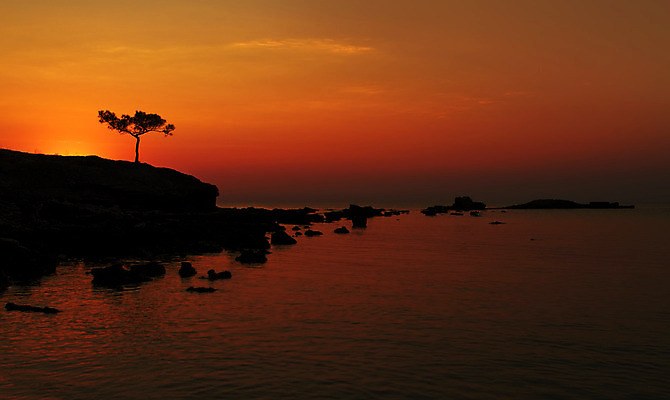 포토 JPG 해외이미지 나무 구름 계절 아시아 바다 여행 오렌지 자연 하늘 휴가 휴식 사람 사람없음 야외 가로 물 여름 햇빛 태양 노란색 우주 일출 침묵 황혼 일몰 가을 가장자리 야간 장면 동쪽 옛날 수평선 해외202004 해외포토 자연요소 식물 나라 컬러 컨셉 과일 노을 소리 둘레 방향 생태계 파일형식 이미지허브