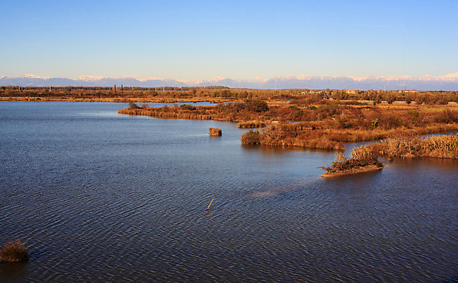 포토 JPG 해외이미지 자연 사람없음 물 강 입 습지 석호 망아지 보호구역 파멸 해외202004 해외포토 자연요소 새끼 컨셉 신체부위 말_동물 생태계 구역 파일형식 소멸 이미지허브