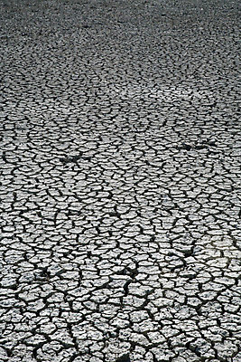 포토 JPG 해외이미지 공원 모래 아프리카 바닥 건조 사람없음 물 태양 사막 흰색 죽음 구멍 스페인 갈증 진흙 남쪽 깨짐 단절 땅바닥 안달루시아 해외202004 해외포토 자연요소 공공시설 유럽 나라 컬러 컨셉 방향 파일형식 이미지허브