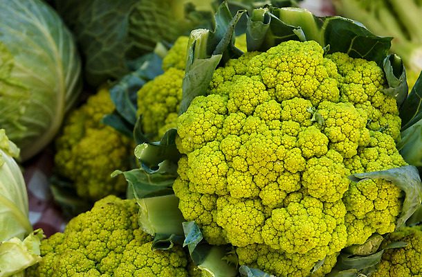 포토 JPG 해외이미지 식물 잡화 꽃 음식 백그라운드 잎 농업 다이어트 채소 재료 사람없음 초록색 신선 시장 상품 상추 유기농 날것 내추럴 채식주의자 비건 해외202004 해외포토 웰빙 산업 컬러 건강 채식 파일형식 이미지허브