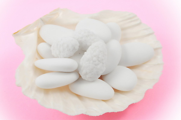 포토 JPG 해외이미지 행복 분홍색 결혼 결혼식 조개 사탕 사랑 사람없음 장식 빛 장미 껍질 흰색 축하 달콤 설탕 아몬드 약혼 고립 프랄린 해외202004 해외포토 꽃 감정 컬러 컨셉 어패류 디저트 이벤트 견과류 맛 약속 파일형식 이미지허브