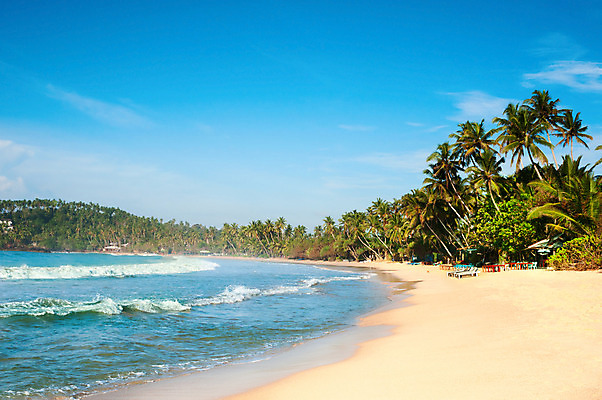 포토 JPG 해외이미지 나무 아시아 모래 파도 바다 여행 오렌지 자연 조류 하늘 휴가 따뜻함 손바닥 동양인 풍경 사람없음 가로 초록색 물 여름 파란색 빛 컬러풀 태양 노란색 맑음 흙 활발 뜨거움 보트 황금 숲 인도인 내추럴 스리랑카 파라다이스 해외202004 해외포토 자연요소 외국인 식물 동물 손 계절 나라 컬러 컨셉 배_교통 과일 날씨 인종 생태계 파일형식 이미지허브