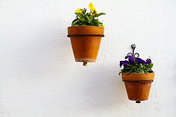 포토 JPG 해외이미지 식물 전통 꽃 화분 도로 벽 주택 그림자 사람없음 장식 숫자 노란색 봄 바위 흰색 스페인 손목시계 광장 라임 안달루시아 정문 제라늄 해외202004 해외포토 문자 계절 유럽 길 시계 컬러 과일 장신구 교통시설 건물 문 파일형식 이미지허브