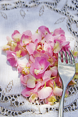 포토 JPG 해외이미지 꽃잎 꽃 분홍색 포크 자연 실내 사람없음 해외202004 해외포토 식물 식기 컬러 내부 생태계 파일형식 이미지허브