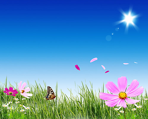 포토 JPG 해외이미지 구름 라이프스타일 남자 꽃 행복 어린이 여행 백그라운드 잎 크리스마스 밭 일러스트 모션 산 사람 풍경 사람없음 초록색 파란색 빛 냉동 희망 기쁨 가을 나뭇가지 숲 언덕 해외202004 해외포토 자연요소 나무 식물 계절 기념일 감정 컬러 농업 생활 파일형식 이미지허브