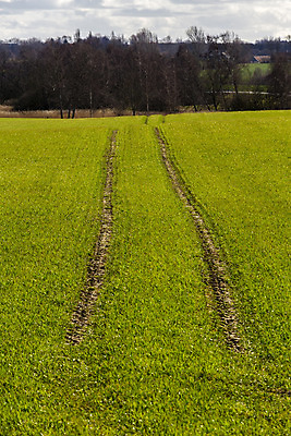포토 JPG 해외이미지 밭 자연 하늘 덴마크 풍경 사람없음 야외 세로 초록색 여름 파란색 컬러풀 햇빛 태양 농촌 언덕 조경 트랙터 멀리 수평선 카피스페이스 해외202004 해외포토 자연요소 계절 컬러 농업 북유럽 공백 시골 농기계 생태계 특수차량 파일형식 이미지허브