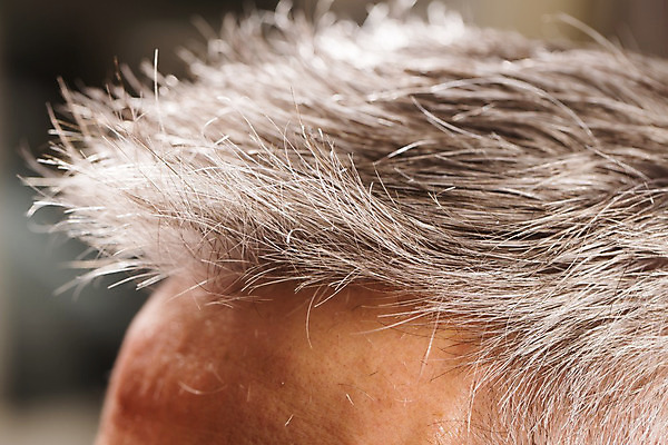 포토 JPG 해외이미지 직업 헤어스타일 남자 행복 얼굴 한명 미소 사람 성인 옆모습 치료 빨간색 수건 유행 상점 화장품 거울 장비 잡기 붓 머리빗 칼날 미용사 이발 자르기 고객 쇼 분무기 닦기 면도기 스타일리스트 커터 해외202004 해외포토 1 감정 뷰포인트 컬러 의학 모션 표정 신체부위 위생용품 뷰티 미용용품 파일형식 이미지허브