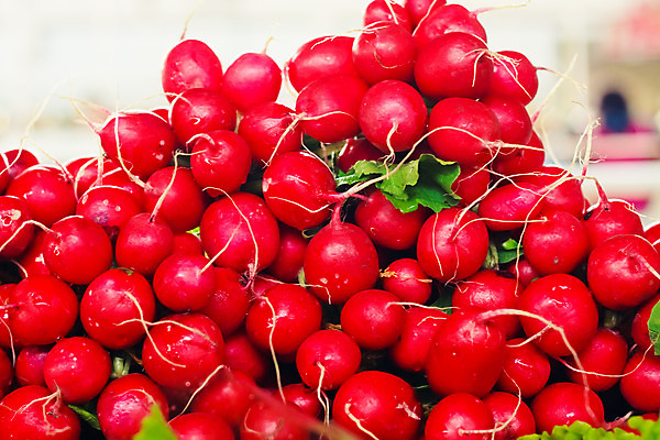 포토 JPG 해외이미지 식물 라이프스타일 음식 백그라운드 잎 농업 다이어트 채소 재료 자연 건강 요리 사람없음 빨간색 초록색 농작물 농장 주방 정원 샐러드 수확 신선 그룹 시장 닫기 맛 다발 먹기 오브젝트 유기농 날것 뿌리 내추럴 숙성 채식주의자 총각무 비건 해외202004 해외포토 웰빙 산업 컬러 컨셉 모션 생활 무 생태계 채식 파일형식 이미지허브