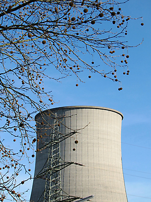 포토 JPG 해외이미지 식물 사람없음 환경 탑 에너지 생태학 해외202004 해외포토 건축물 교육 파일형식 이미지허브