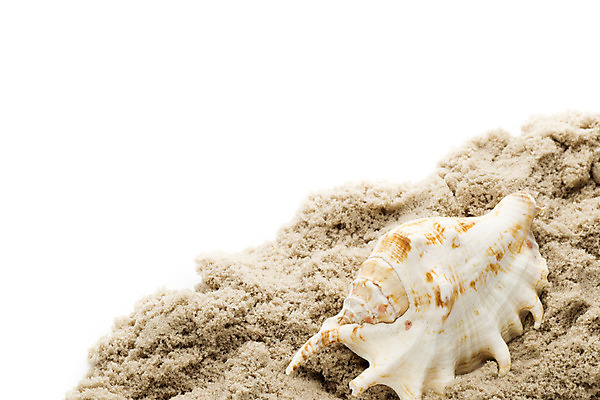 포토 JPG 해외이미지 별 모래 바다 백그라운드 컨셉 자연 불가사리 프레임 해변 사람없음 햇빛 껍질 흰색 산호 심볼 오브젝트 기념품 태평양 가리비 고립 해외202004 해외포토 자연요소 컬러 조개 극피동물 태양 자포동물 생태계 파일형식 이미지허브