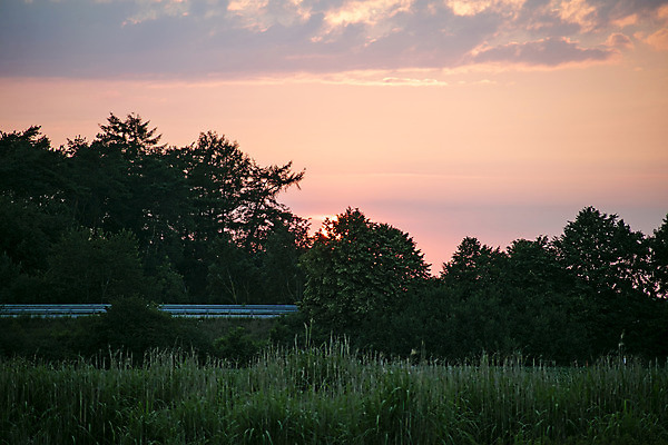 포토 JPG 해외이미지 구름 백그라운드 오렌지 자연 하늘 날씨 풍경 사람없음 야외 여름 파란색 빛 햇빛 태양 노란색 일출 맑음 검은색 어둠 희망 힘 황혼 일몰 놀람 새벽 광선 황금 저녁 폭풍 천국 솜털 내추럴 넘어짐 단아함 우수 수평선 해외202004 해외포토 자연요소 계절 감정 컬러 과일 모션 표정 노을 야간 절기 생태계 파일형식 이미지허브