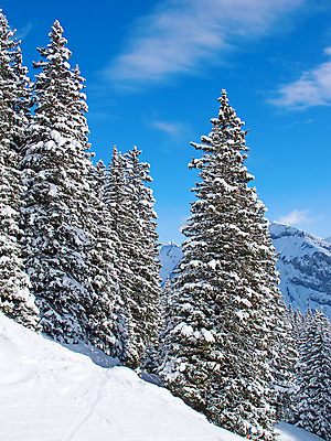 포토 JPG 해외이미지 계절 유럽 스포츠 여행 겨울 자연 하늘 휴가 스키 휴식 산 파노라마 풍경 경사 사람없음 야외 파란색 평화 냉동 얼음 침묵 추위 흰색 스노우보드 가루 고도 스위스 휴양지 알프스 선로 절정 눈내림 해외202004 해외포토 자연요소 나라 컬러 컨셉 겨울스포츠 눈_날씨 촬영기법 소리 장소 보드_스포츠 생태계 파일형식 이미지허브