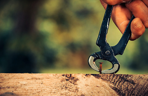 포토 JPG 해외이미지 직업 한명 사람 성인 사람없음 목재 작업 못 작업실 당기기 망치 목수 만들기 작업도구 펜치 장인 차고 성인만 해외202004 해외포토 나무 1 재료 모션 도구 공구 파일형식 이미지허브
